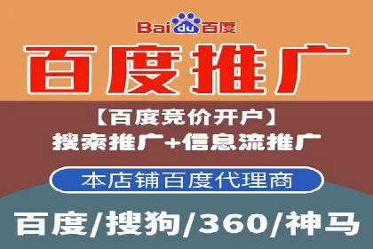 百度推广实战攻略：案例与技巧
